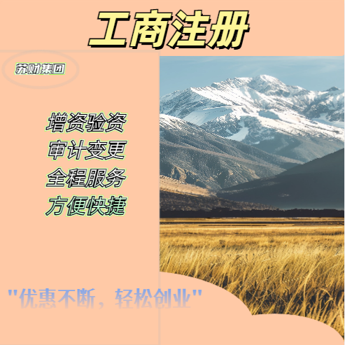 苏州新注册营业执照的手续和办理流程？